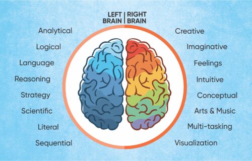 Mid Brain Activation Course Modules