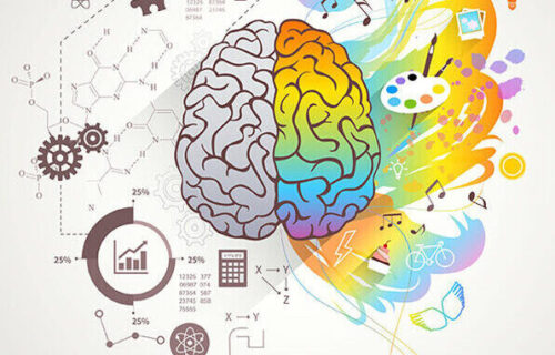 Mid-Brain Activation: Myth, Science & Practical Outcomes