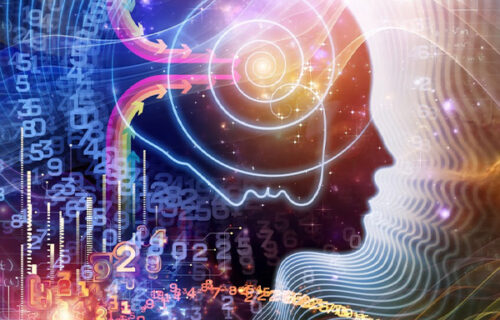 Mid Brain Activation Course Modules